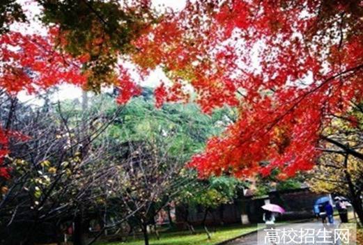 山東醫(yī)學(xué)高等?？茖W(xué)校