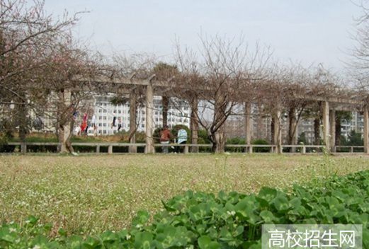 山東服裝職業(yè)學(xué)院