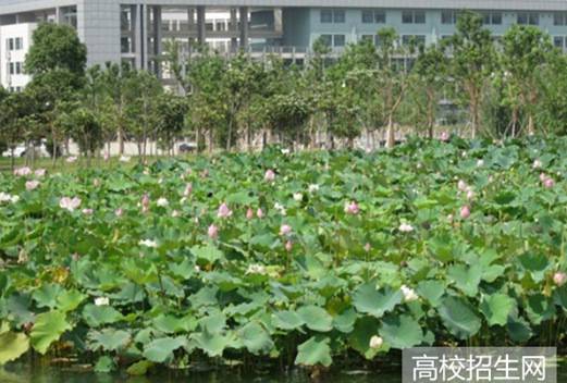 萊蕪職業(yè)技術學院