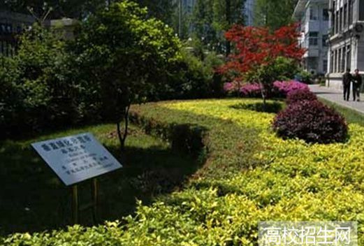 山東電子職業(yè)技術(shù)學(xué)院