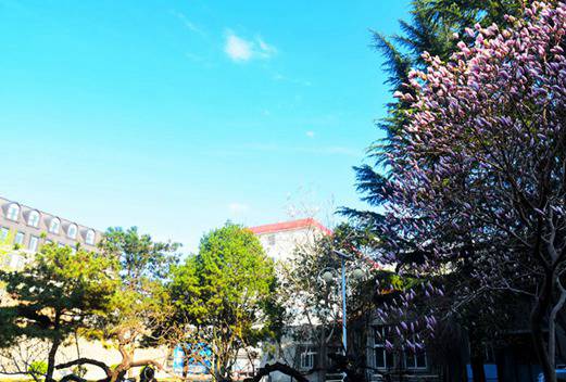 北京信息職業(yè)技術(shù)學院