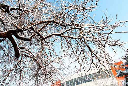 北京農(nóng)業(yè)職業(yè)學(xué)院