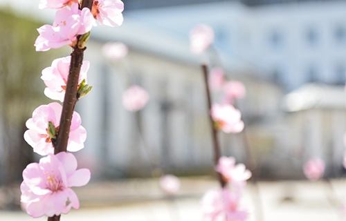 淄博鐵路運輸技工學(xué)校
