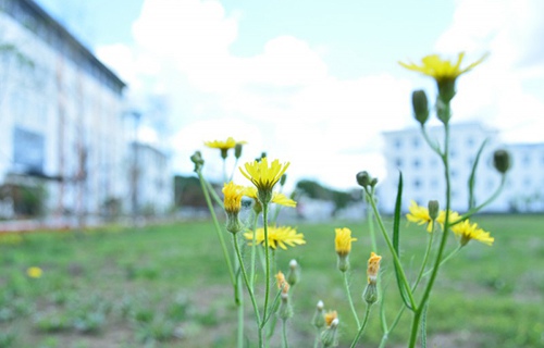 淄博鐵路運輸技工學(xué)校