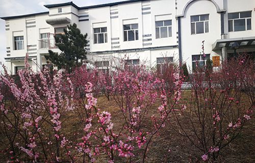 淄博鐵路運輸技工學(xué)校