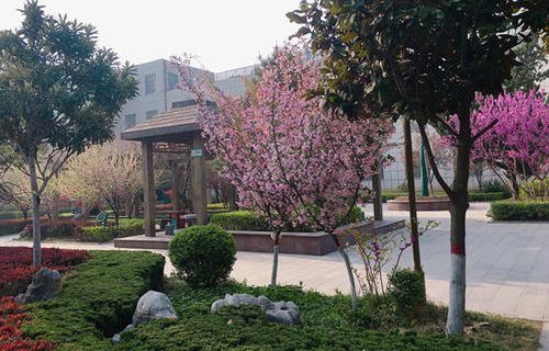 棗莊市第二衛(wèi)生學(xué)校