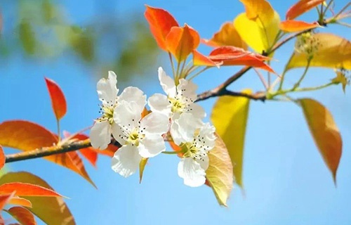 棗莊臺(tái)兒莊區(qū)職業(yè)中專