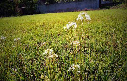 滕州市第一成人中等專業(yè)學(xué)校（滕州市教師進(jìn)修學(xué)校）