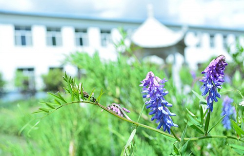 東營(yíng)勝利海運(yùn)學(xué)校