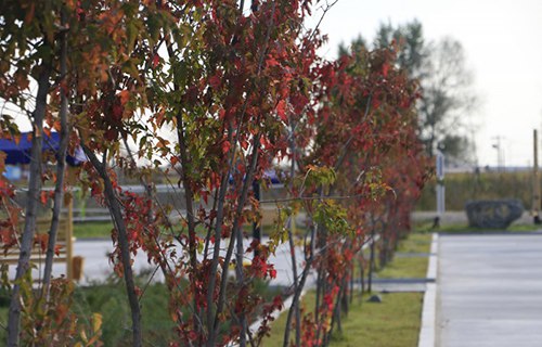 東營(yíng)勝利海運(yùn)學(xué)校