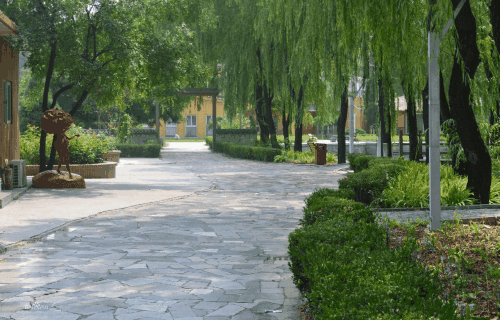 招遠高級職業(yè)學校