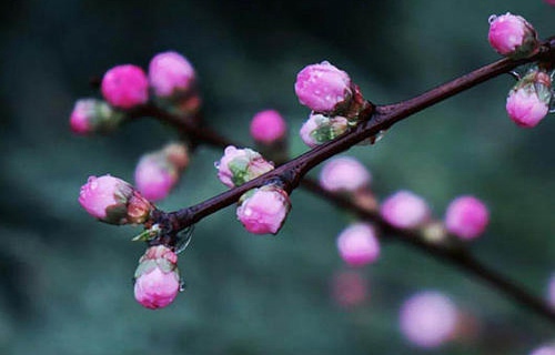 棲霞高級(jí)職業(yè)學(xué)校