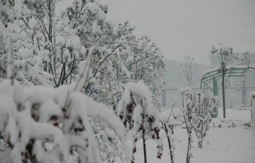 濰坊藝術(shù)學(xué)校