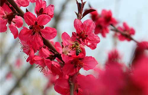 諸城市高級(jí)技工學(xué)校