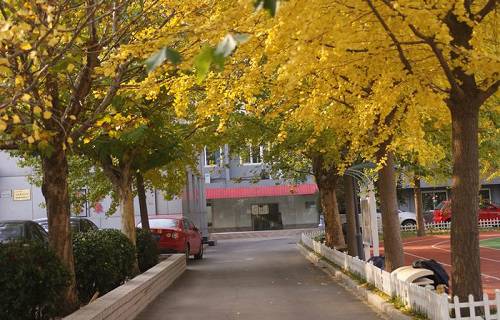 北京經(jīng)濟管理學(xué)校