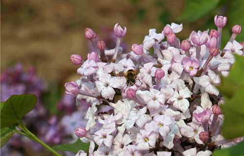 濟(jì)寧市兗州區(qū)職業(yè)中等專業(yè)學(xué)校