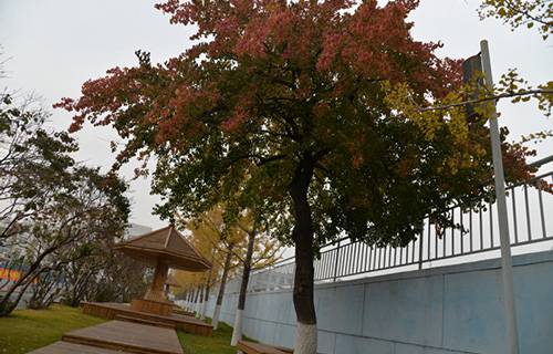 濟(jì)寧市兗州區(qū)職業(yè)中等專業(yè)學(xué)校