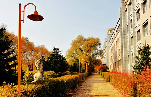 泰安機械電子工程學(xué)校