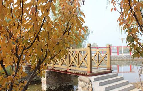 泰安市岱岳區(qū)職業(yè)中等專業(yè)學(xué)校