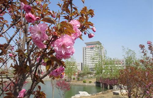 泰安市岱岳區(qū)職業(yè)中等專業(yè)學(xué)校