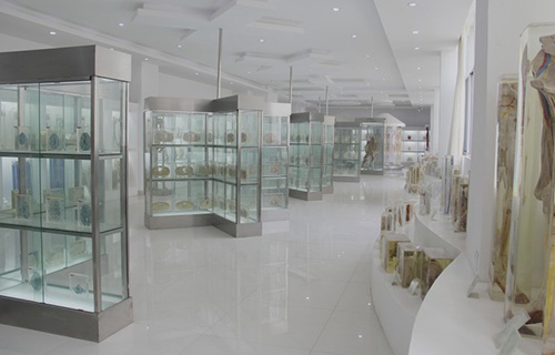 臨沂衛(wèi)生學(xué)校