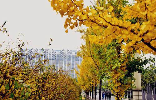 德州女子學(xué)校