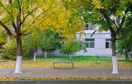 德州夏津縣職業(yè)中等專業(yè)學(xué)校