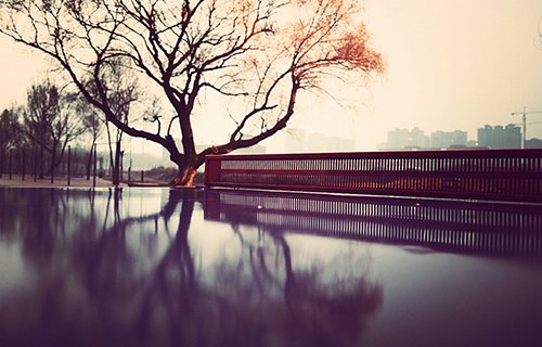 陽谷縣第二職業(yè)中等專業(yè)學(xué)校