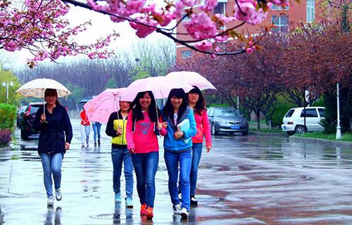 青島職業(yè)技術(shù)學(xué)院