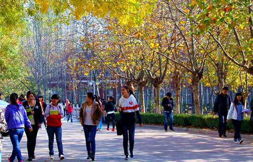 青島職業(yè)技術(shù)學(xué)院