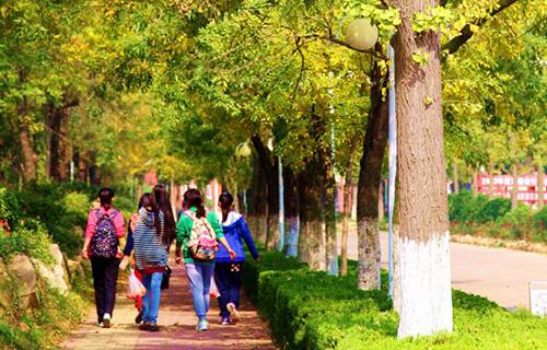 青島職業(yè)技術(shù)學(xué)院