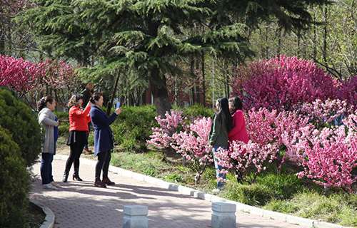 青島職業(yè)技術(shù)學(xué)院