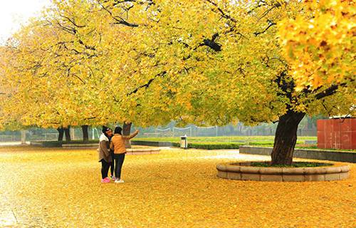 山東畜牧獸醫(yī)職業(yè)學(xué)院