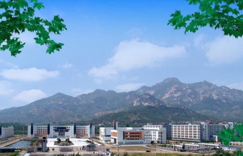 山東電力高等專(zhuān)科學(xué)校