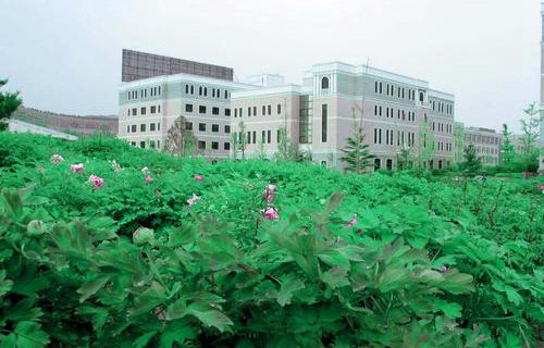 山東電力高等專(zhuān)科學(xué)校