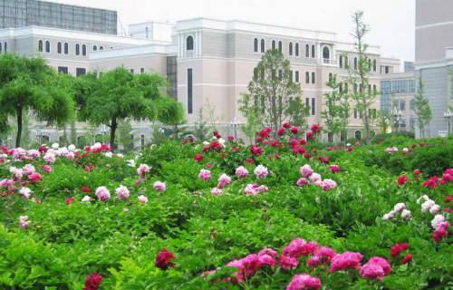 山東電力高等專(zhuān)科學(xué)校