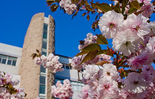 山東外貿(mào)職業(yè)學(xué)院