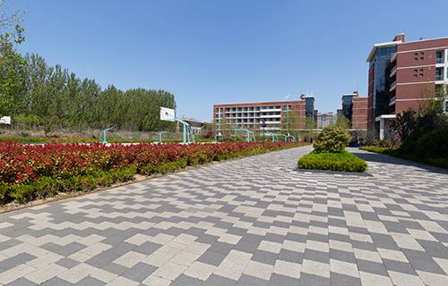 山東外貿(mào)職業(yè)學(xué)院