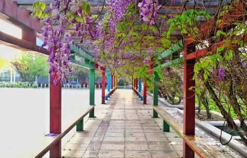 山東外國(guó)語(yǔ)職業(yè)學(xué)院