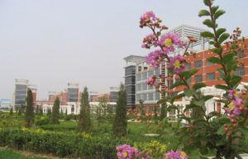 山東濱州衛(wèi)生學校