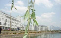 山東泰安衛(wèi)生學(xué)校