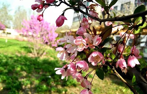 濟(jì)南商貿(mào)學(xué)校