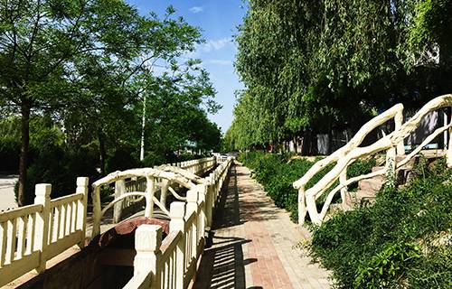 山東衛(wèi)生學(xué)校