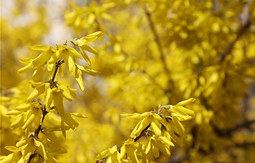 聊城輕工職業(yè)中等專業(yè)學(xué)校