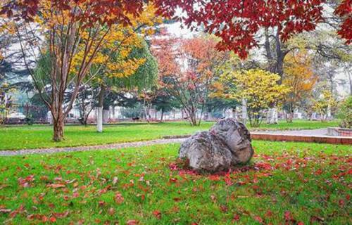 曲阜職業(yè)中專