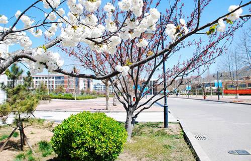 煙臺第一職業(yè)中等專業(yè)學(xué)校