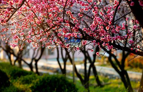 東營區(qū)職業(yè)中等專業(yè)學(xué)校