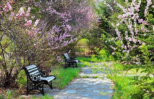 膠南高級職業(yè)技術學校