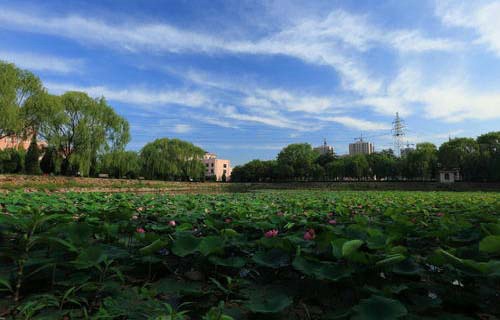 膠南職業(yè)中等專業(yè)學(xué)校