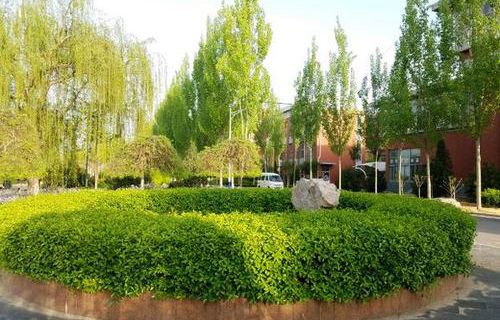 青島城陽(yáng)職業(yè)中等專(zhuān)業(yè)學(xué)校